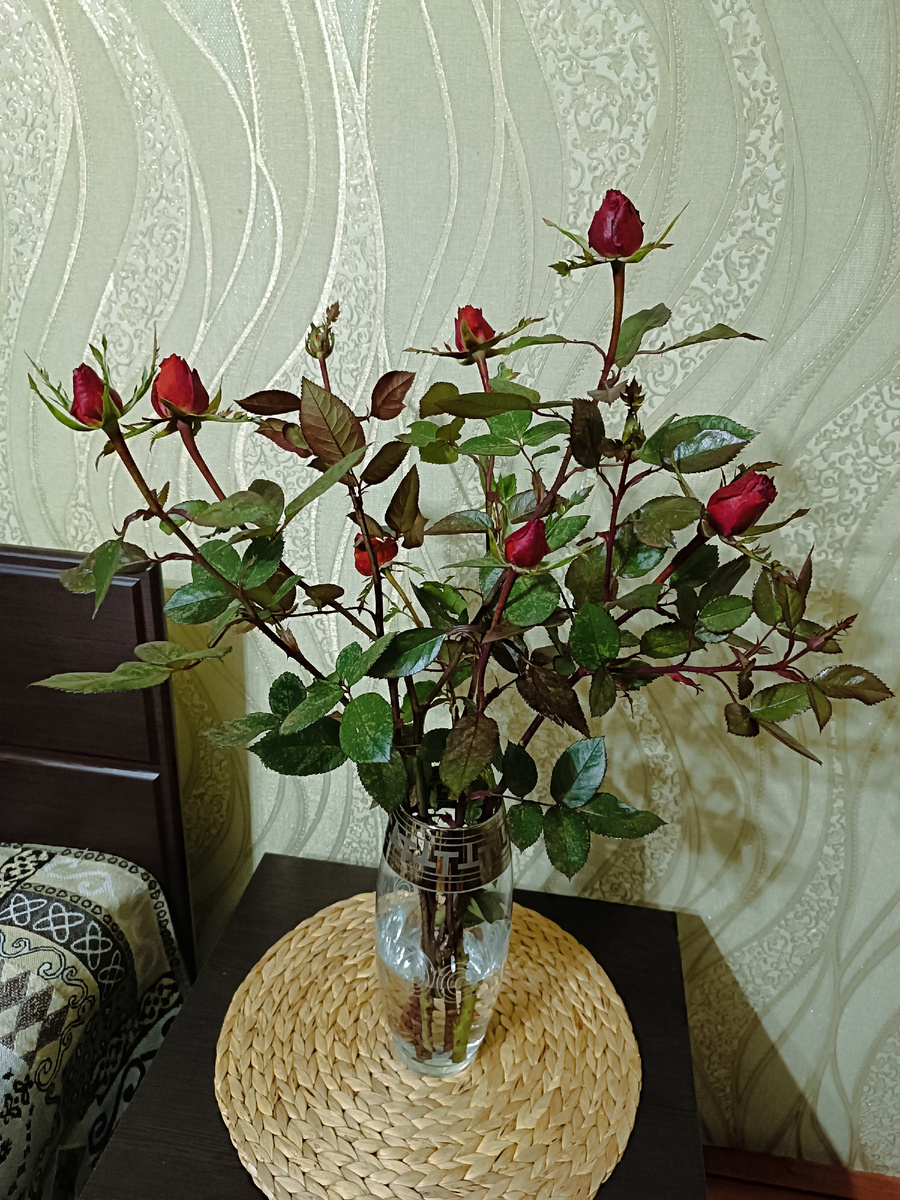 В воскресенье срезала последние розы. Как думаете, раскроются бутоны? 