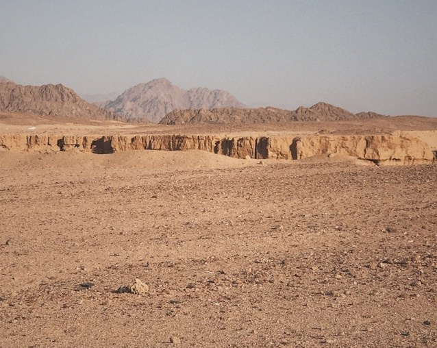 Photo by Dmytro Shchetynin on Unsplash