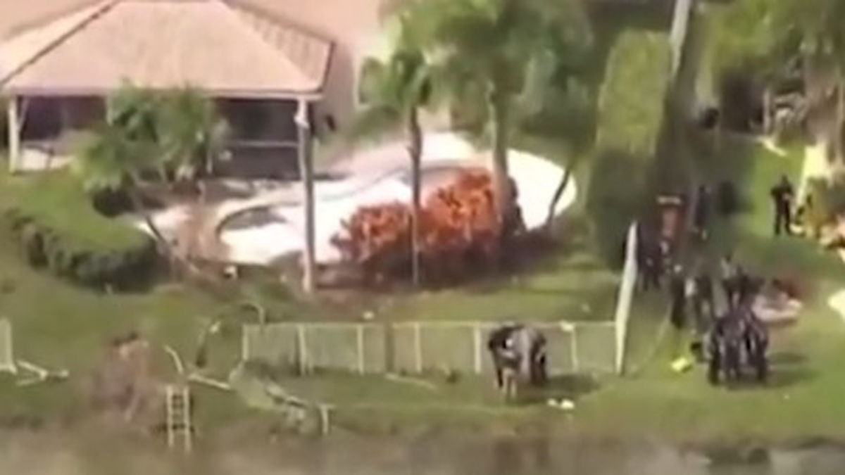    Фото: Скриншот видео / Shot / Telegram