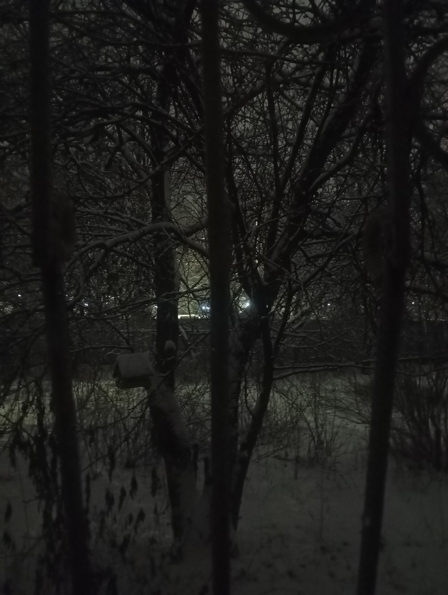 Ночной вид из моего окошка
