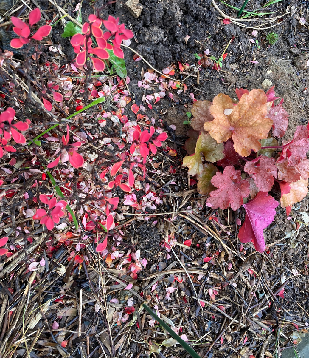 А его подружка красок наоборот набрала )). 