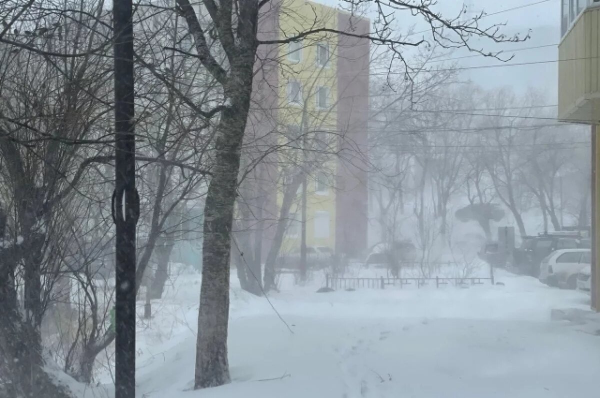    На Камчатке работодателям рекомендуют перевести сотрудников на дистанционку