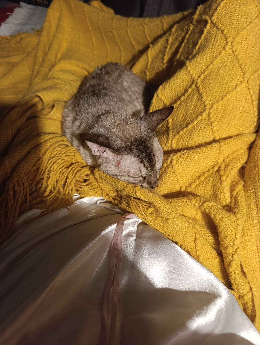 Фото автора.