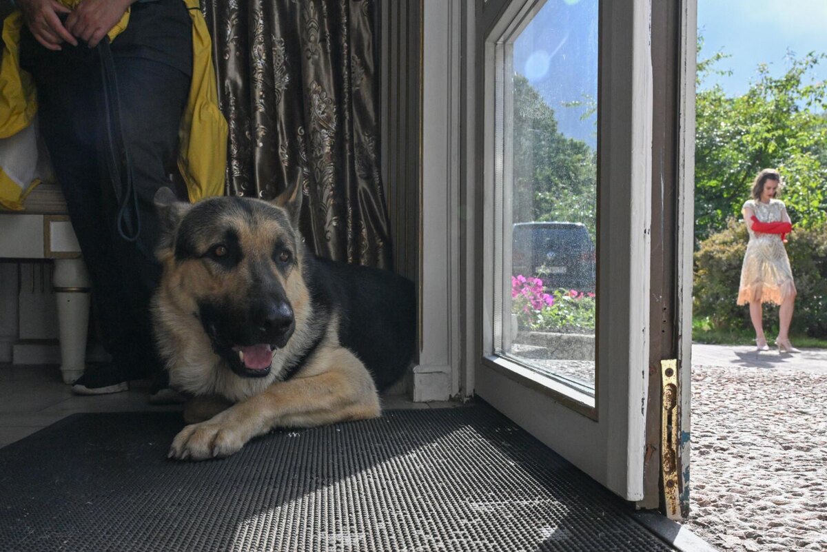 Фото: Александр Гальперин/«Петербургский дневник»