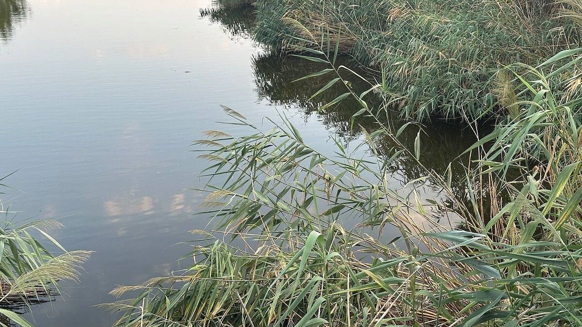    Фото: телеканал «Краснодар»