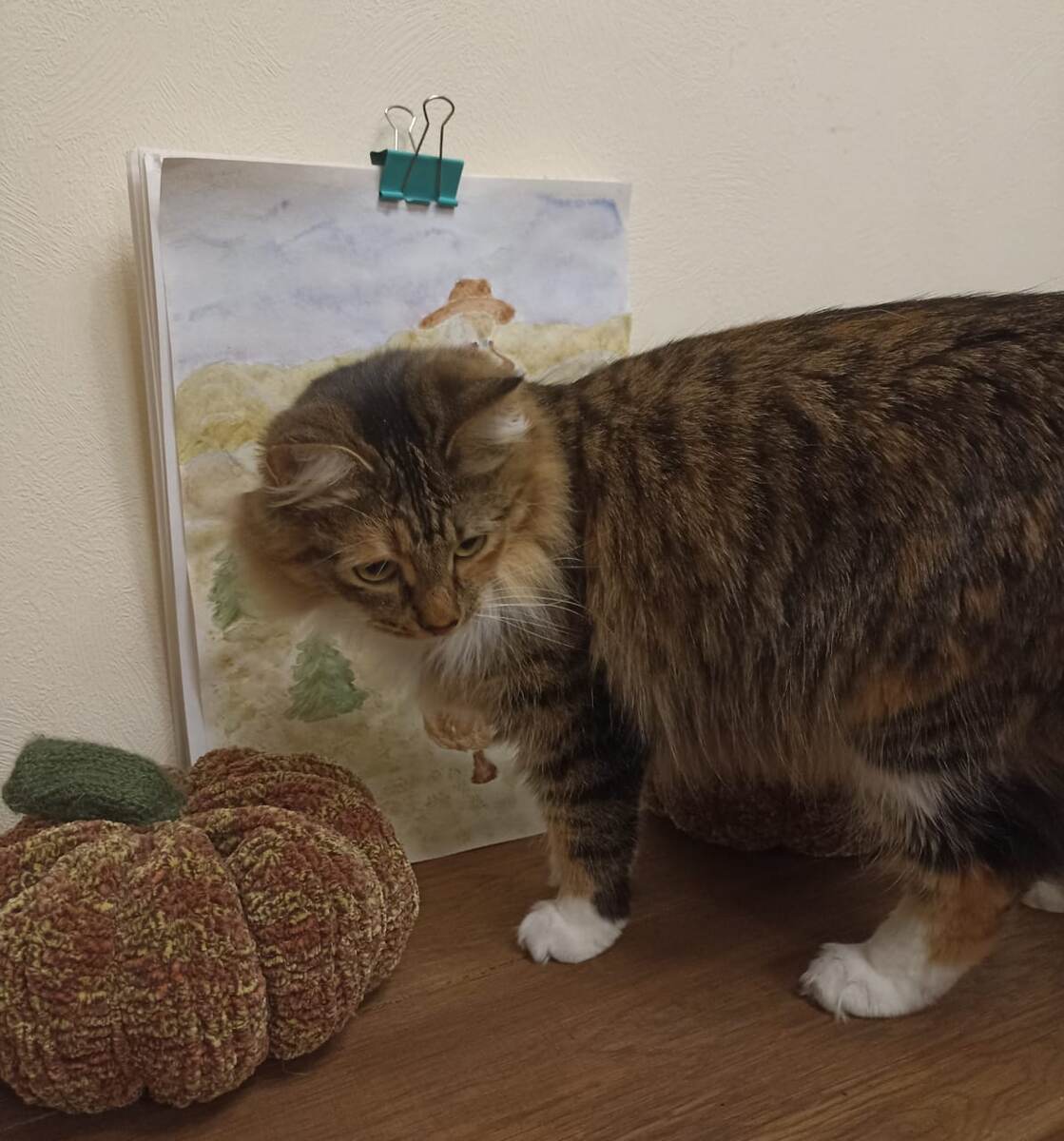 Тася тоже в поисках второй половины лошади)) 