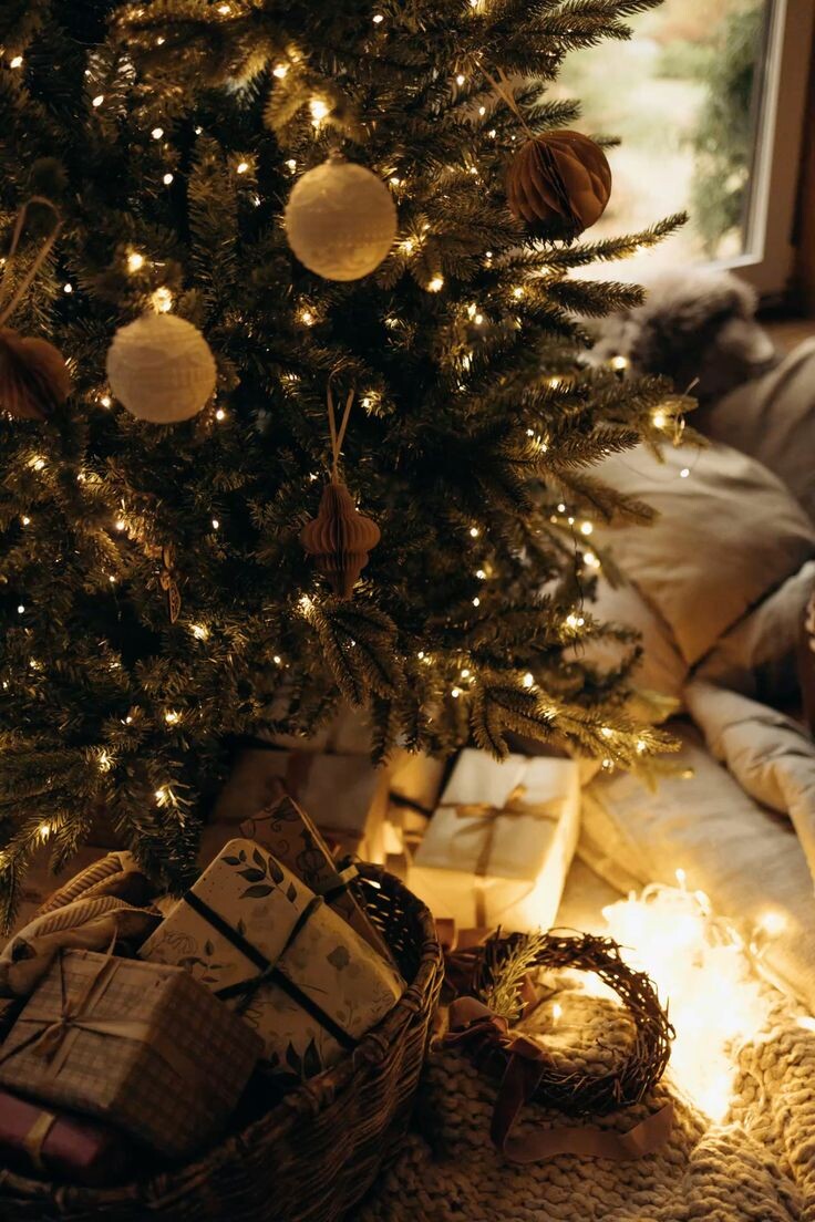 Фото из интернета