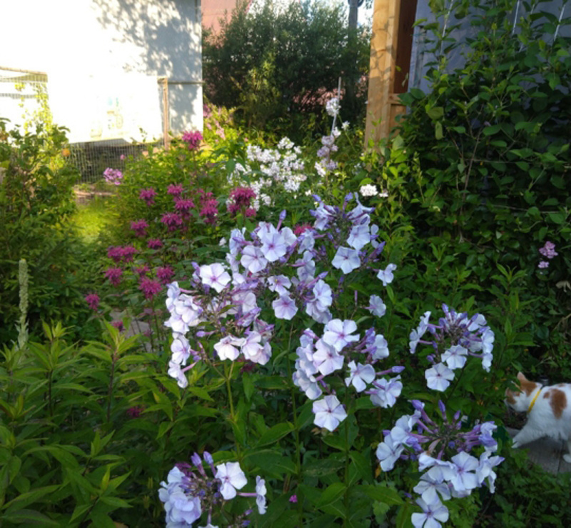 1. В галерее 3 фото, листайте