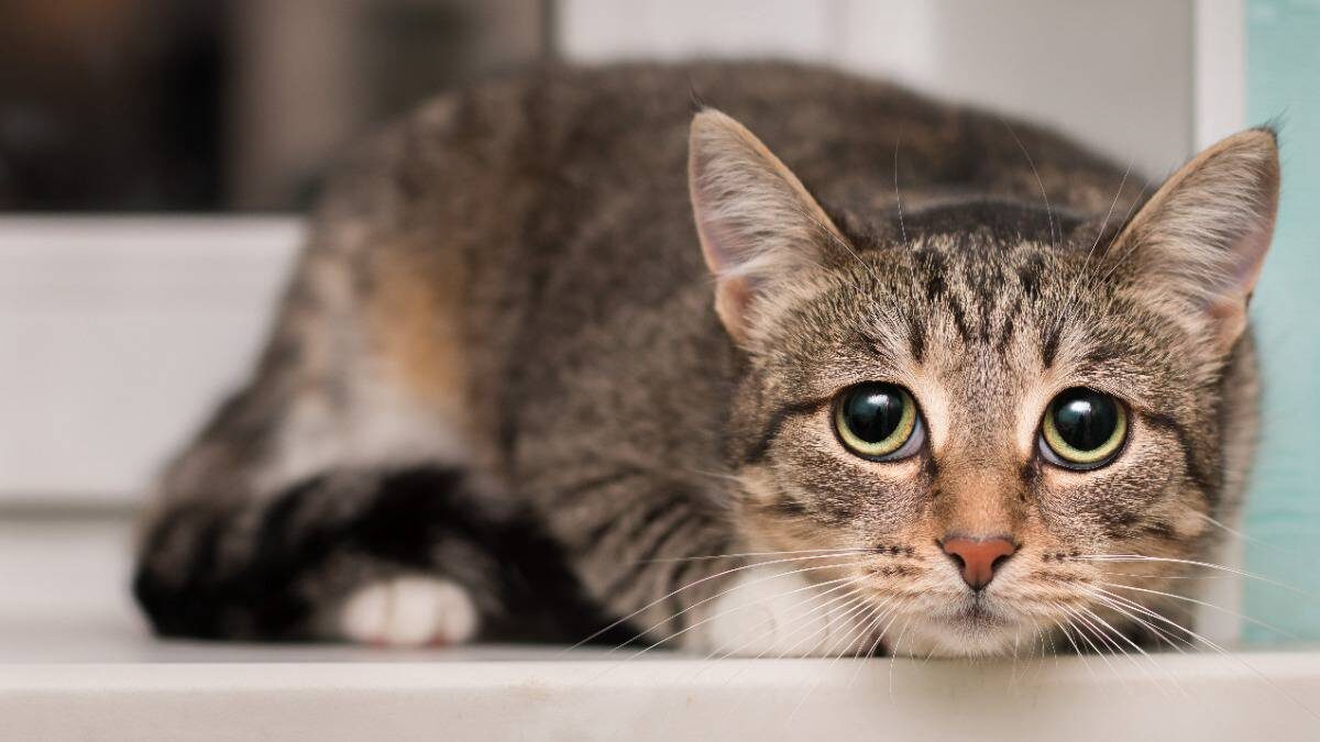    Фото: Shutterstock