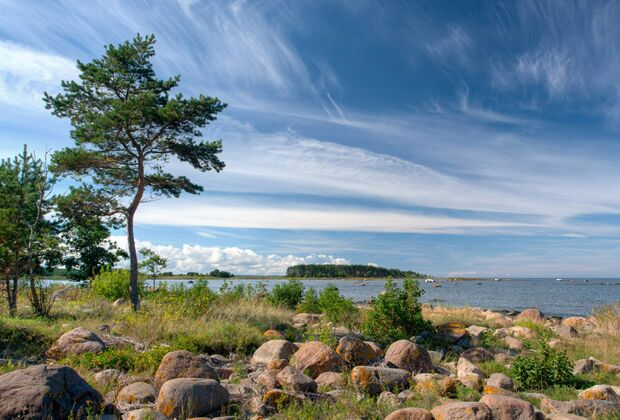 Побережье в районе деревни Летипеа, Эстония
Фото: Tuderna / Wikimedia
