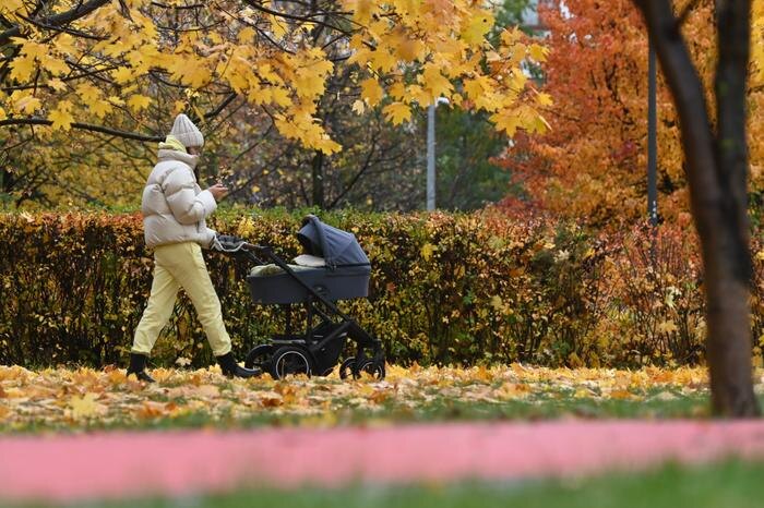 В декабре изменится график и порядок начисления детских пособий. Обложка © Life.ru