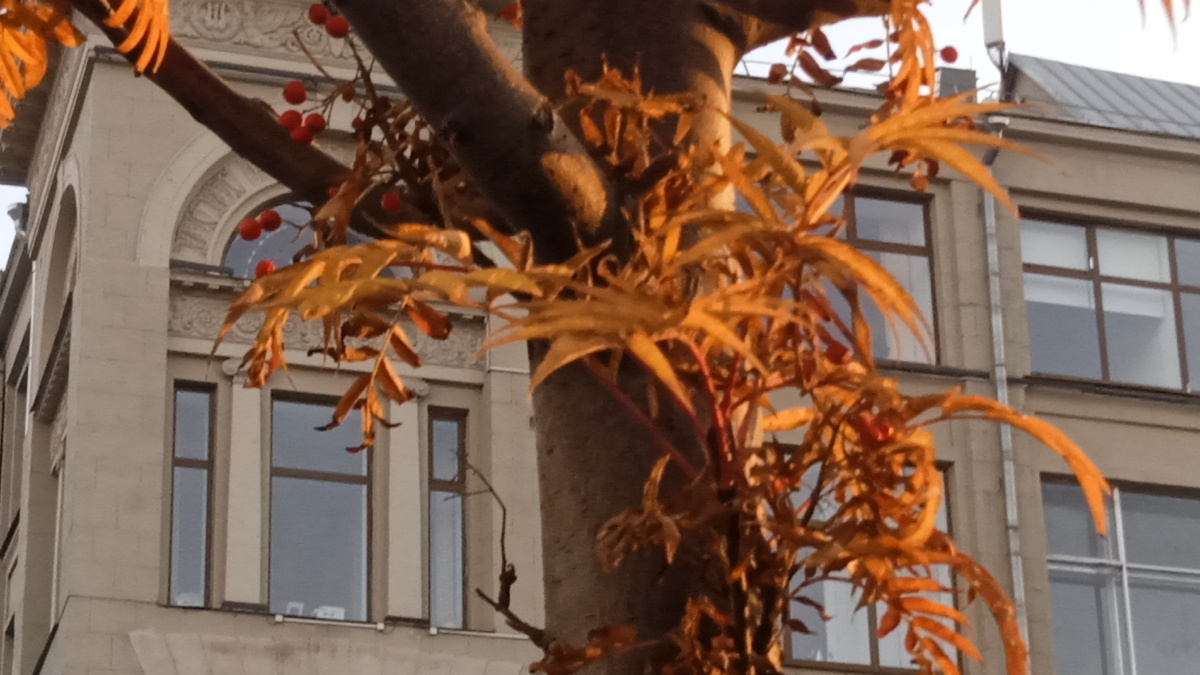 2 ноября 2025. Москва. Китай-Город.