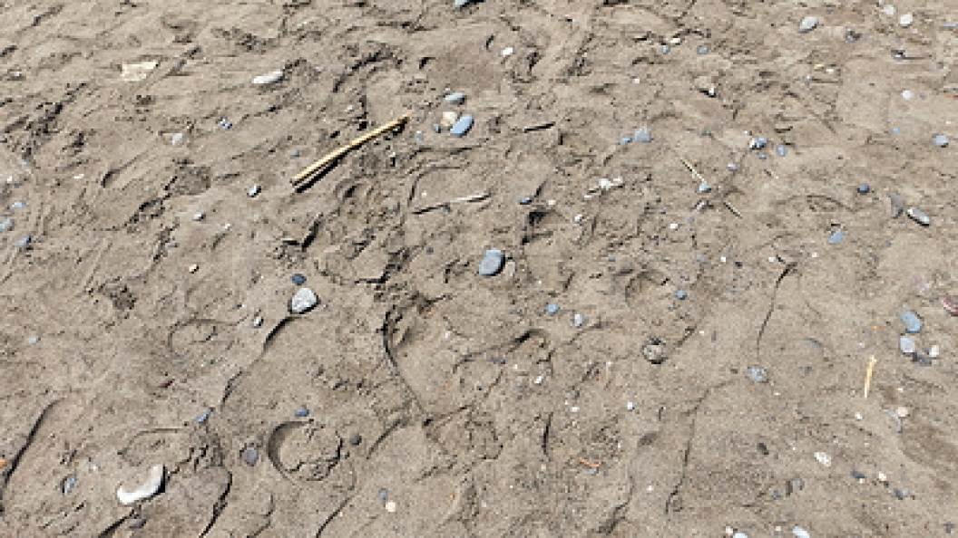    Maksim Konstantinov/Globallookpress