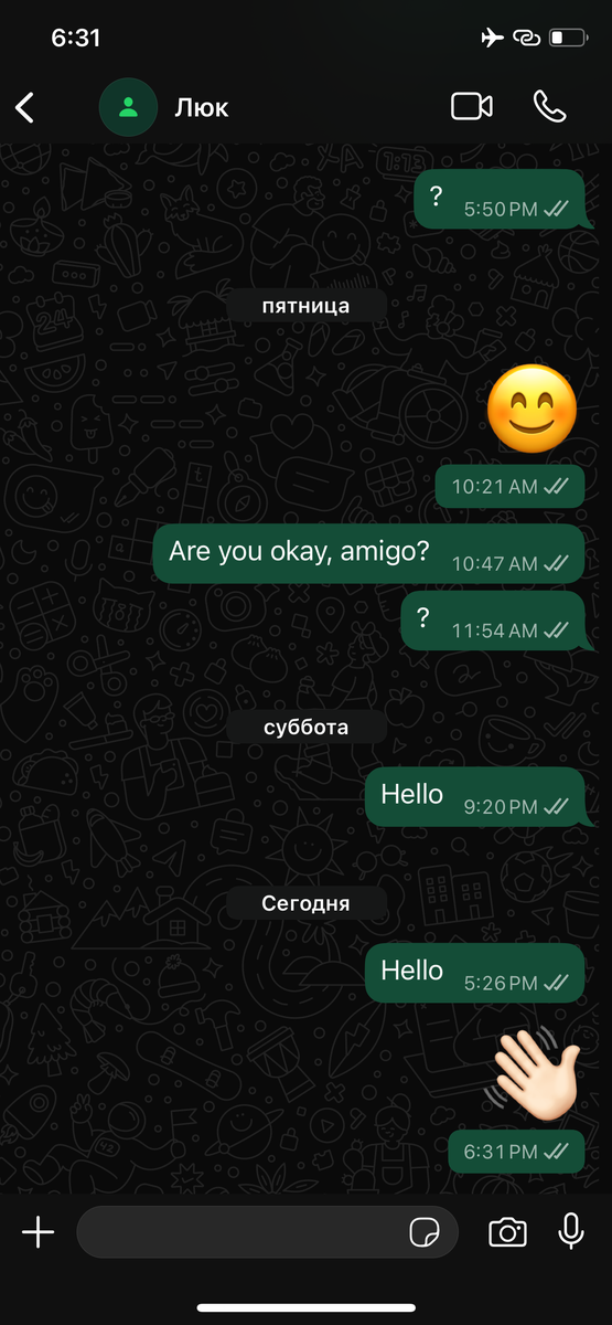 Это я пытаюсь написать Люку, а он просто игнорит! 