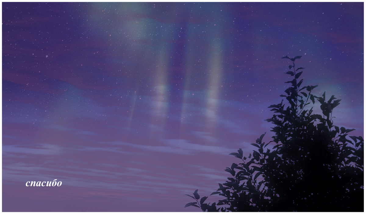 Картинка из архива автора канала "Волнушка"