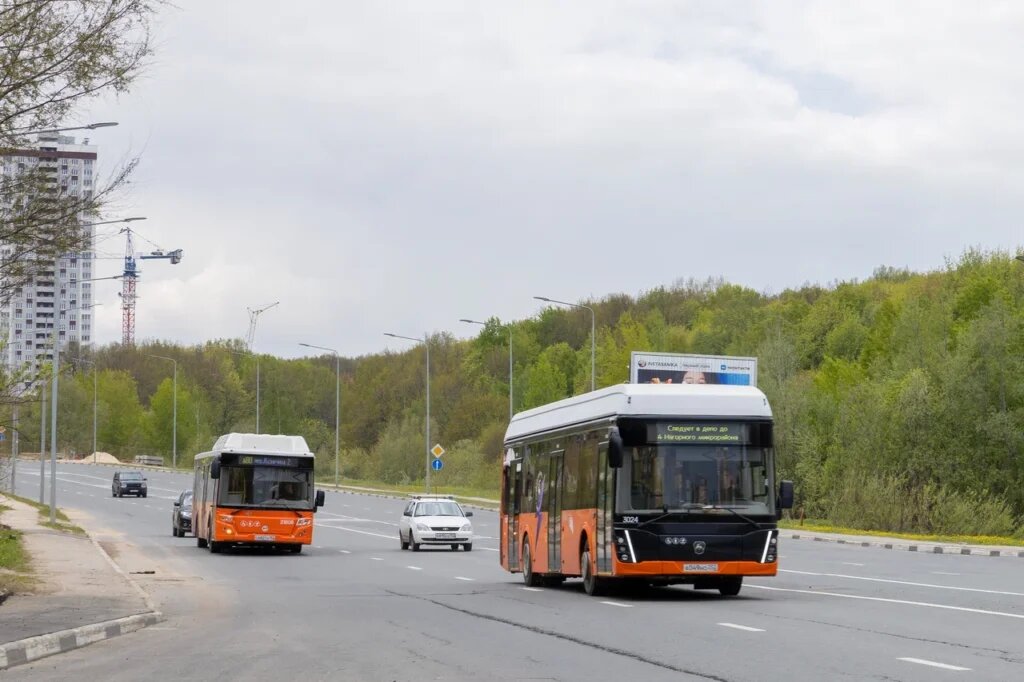    Фото: Никита Духник Иван Воробьев