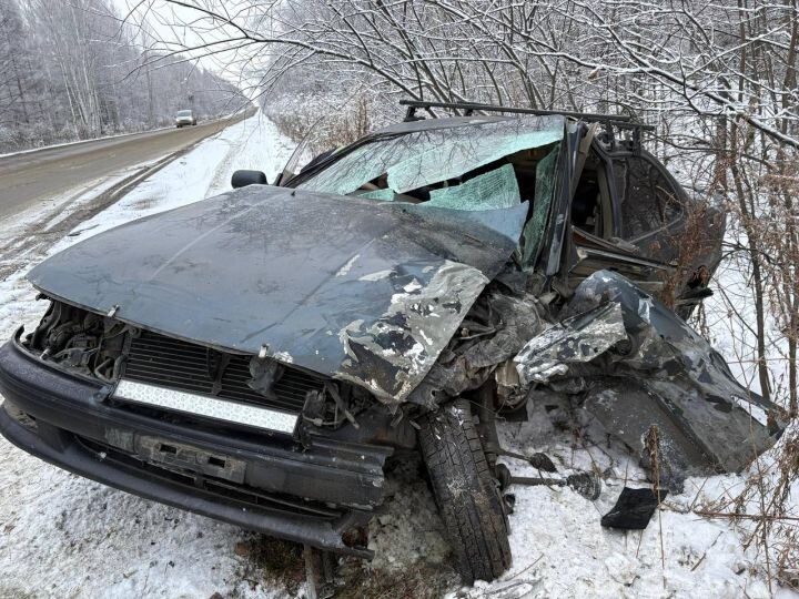    Фото:телеграм-канал Отделения Госавтоинспекции отдела МВД России по Амурскому району, г. Амурск