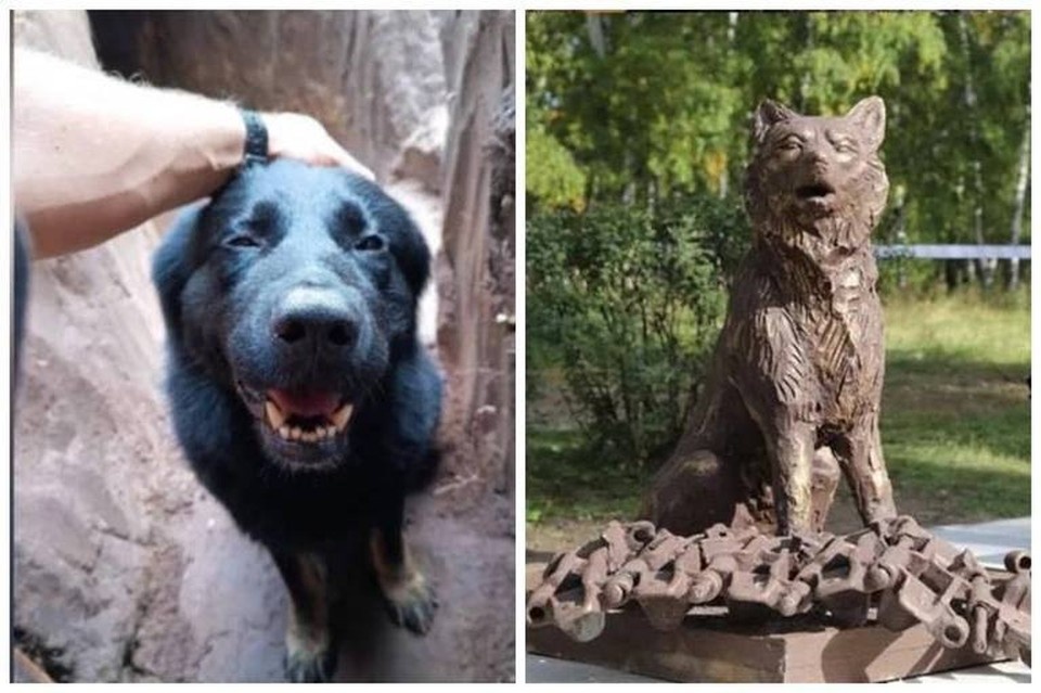    Донбасс ценой своей жизни спас шестерых бойцов в зоне СВО. Фото: из личного архива героя публикации, региональный исполком Народного фронта в Иркутской области.