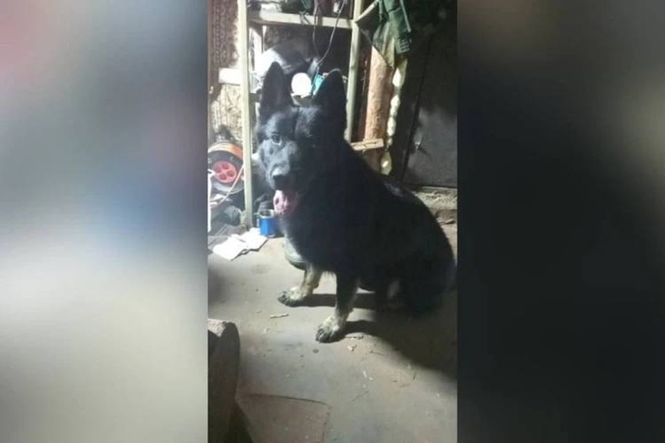    В ночь с 27 на 28 июня Донбасс героически погиб, защищая бойцов. Фото: из личного архива героя публикации.