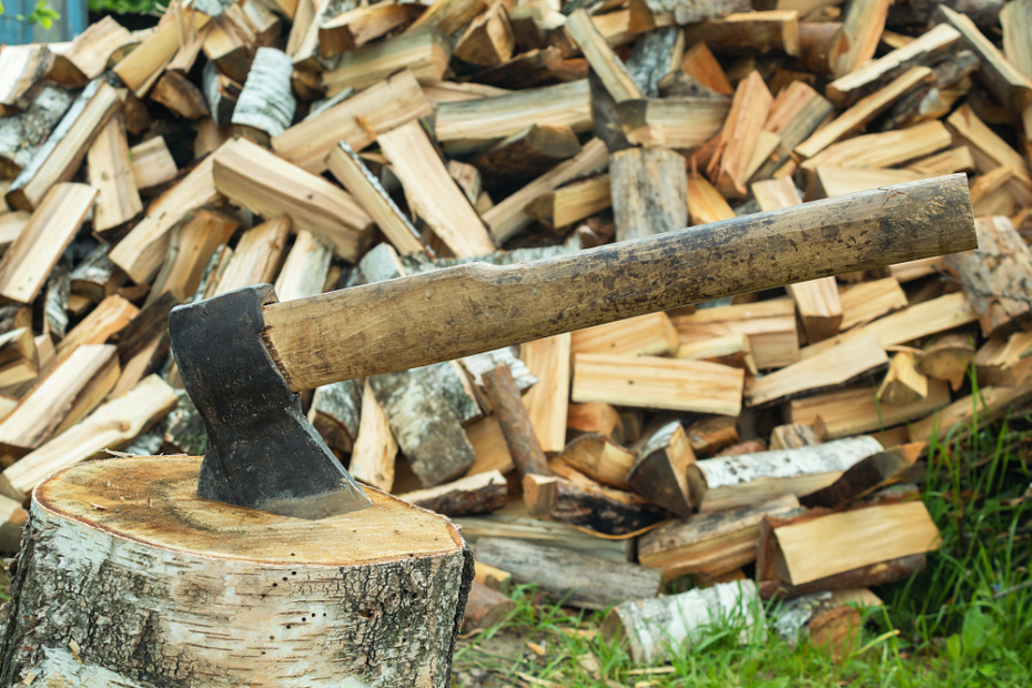    Shutterstock/FOTODOM