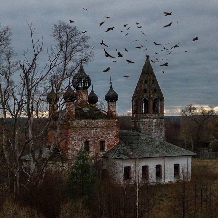 Изображение взято из открытых источников интернета. 