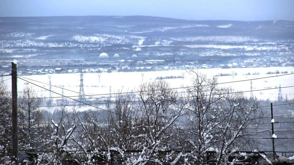    Фото: LiveParty/Shutterstock/Fotodom