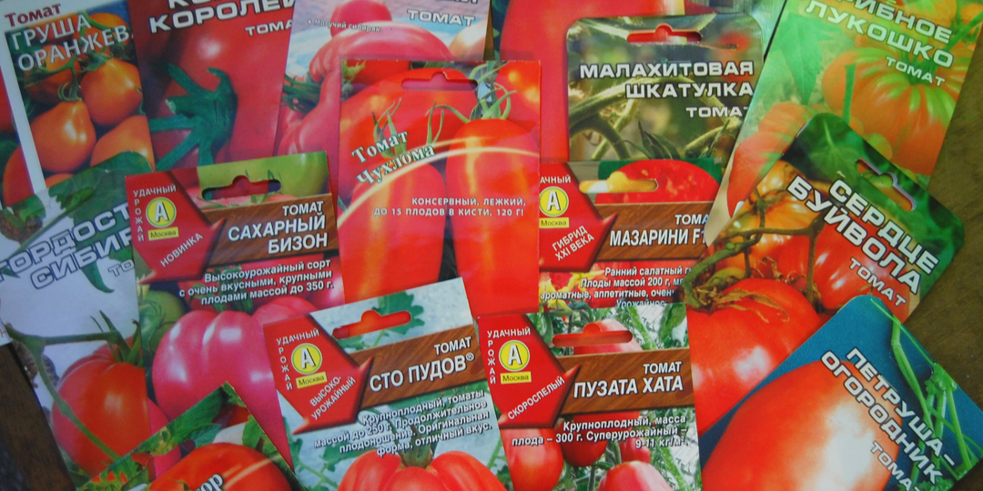 В 70% случаях семена мясистых томатов подделывают. 5 признаков, как отличить оригинал от подделки