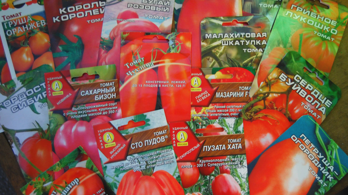 Семена томатов: triton52.ru