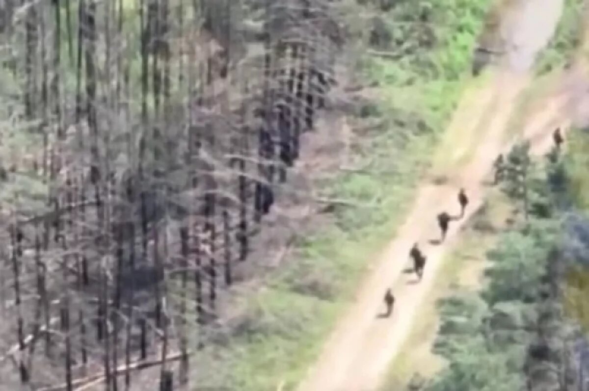    Иванников: гражданская одежда не спасет солдат ВСУ из Покровска от расплаты