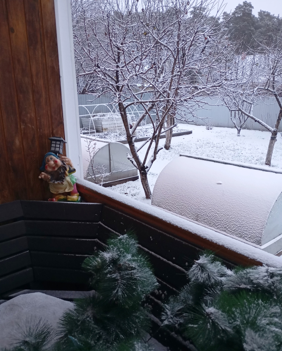 Вышла на террасу, а ещё и ветрюган 