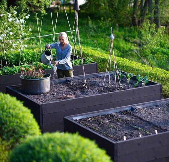Высокие грядки: плюсы и минусы