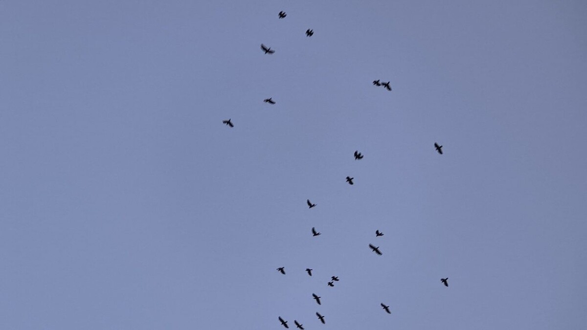    Фото: телеканал «Краснодар»