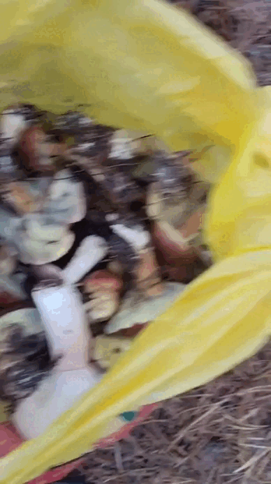 Гиф с видео Татьяны Руденко