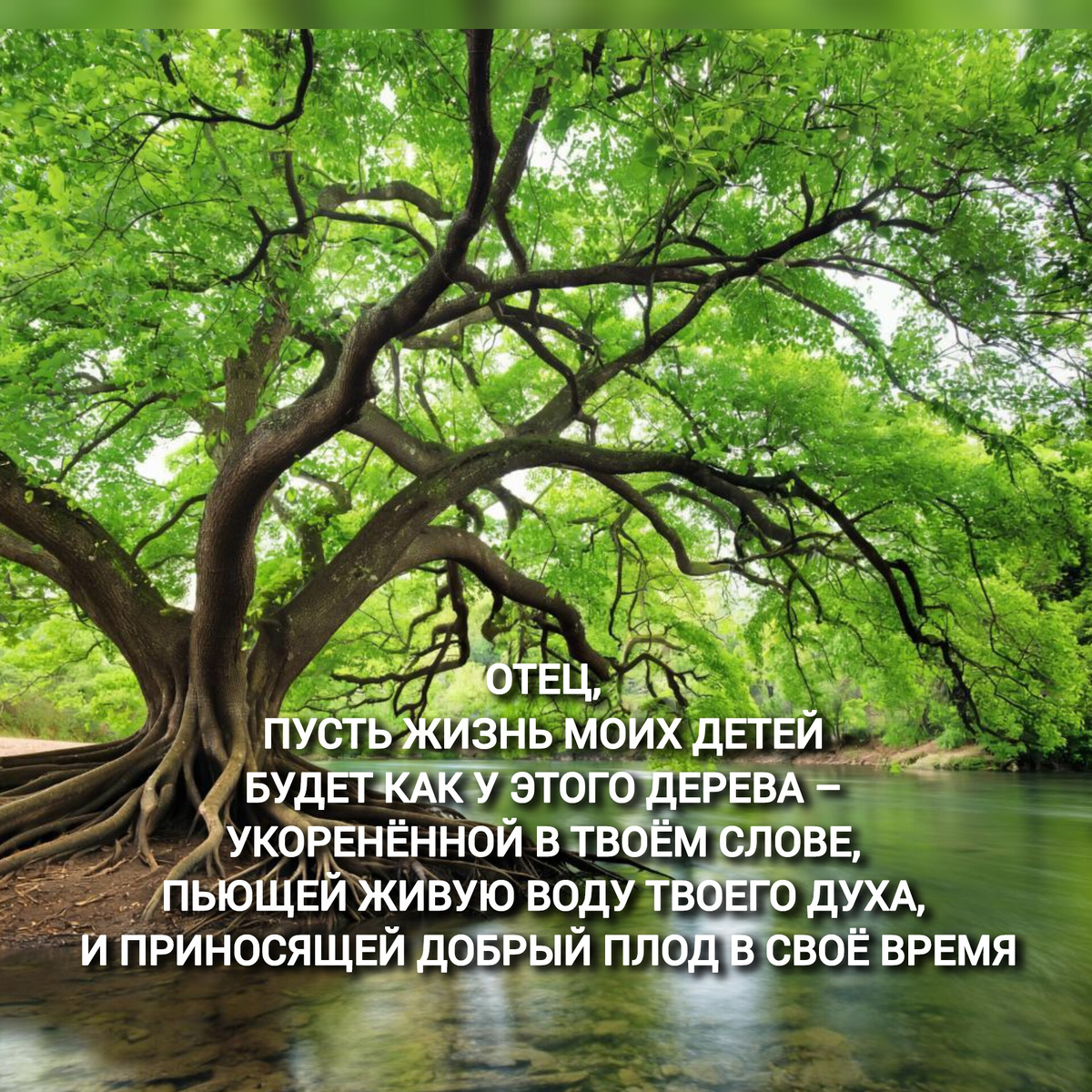 благословение детей