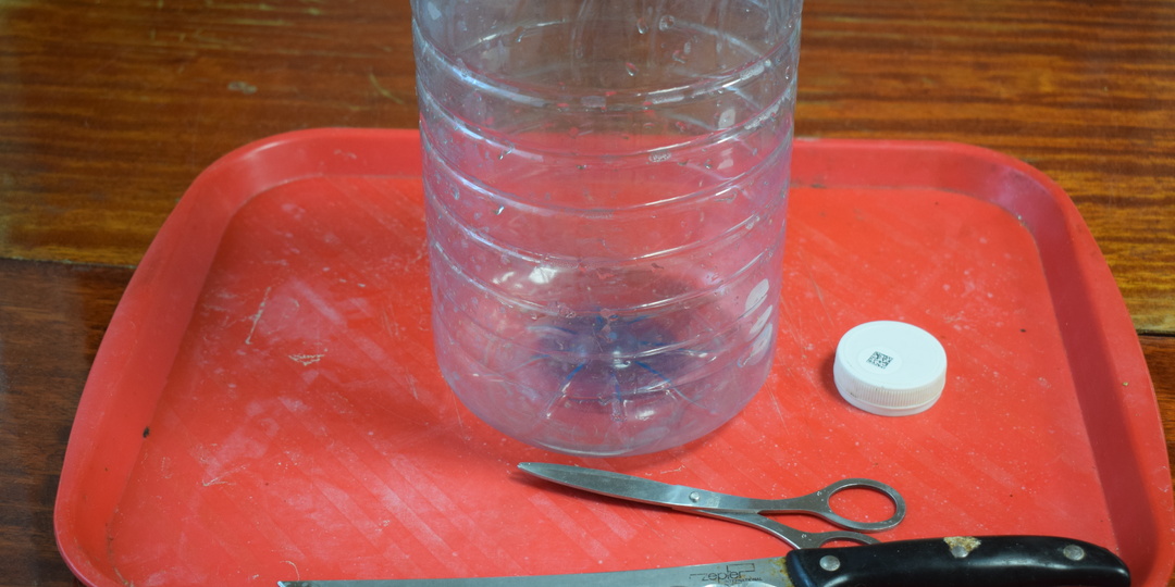 Лайфхак!!! Как изготовить мини-теплицу для зимнего выращивания черенков?