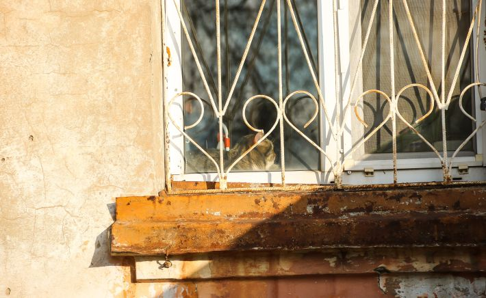 Квартира. Барнаул
Фото: Виталий Барабаш