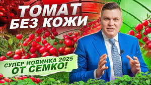 Скрин того самого видео от руководителя агрофирмы "Семко"