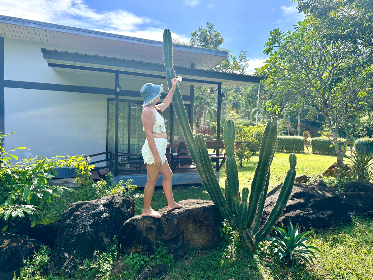 Кактус у нашего домика на Ко Чанге.