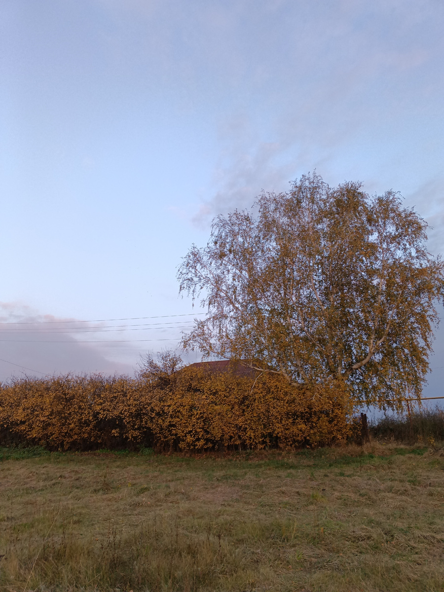 Осень в сельской местности