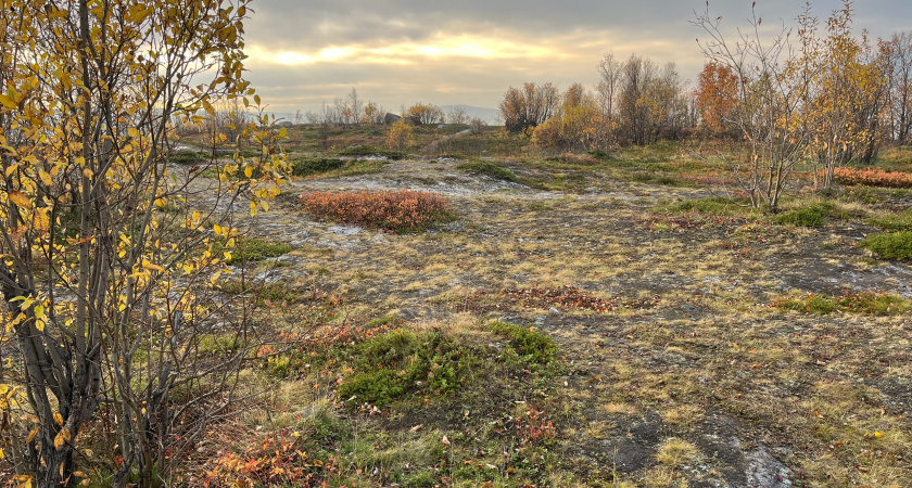    Осеннее тепло и облачность: прогноз погоды на 11 ноября в Воронежской области