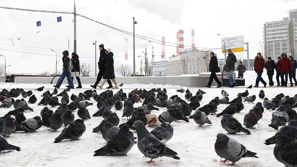    Фото: Ярослав Чингаев / АГН Москва