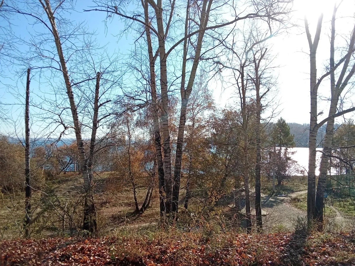 Фото автора. Люблю природу и воду.