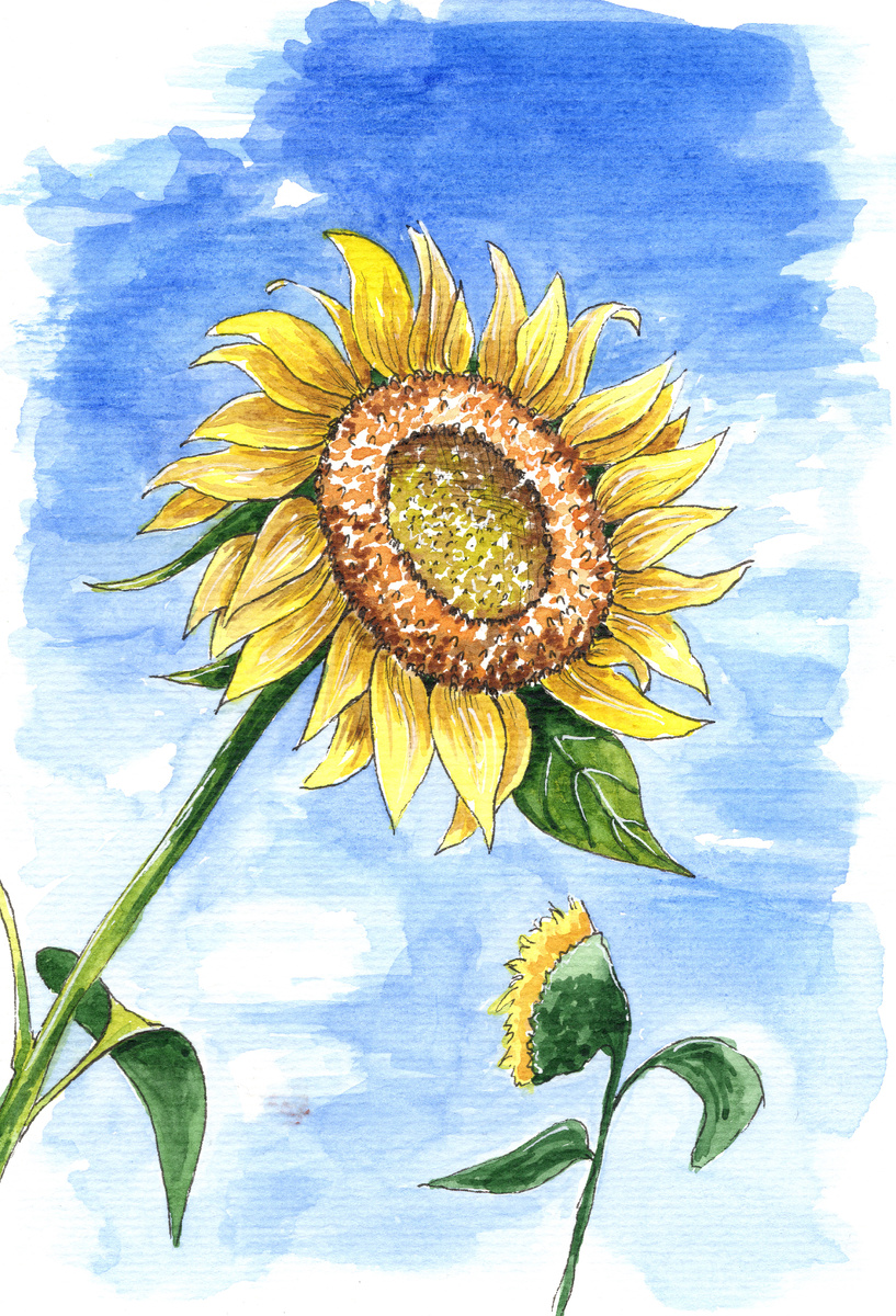 Упражнение №3