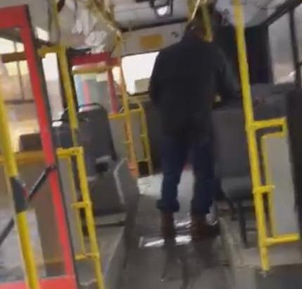 Кондуктор не смогла помешать пассажиру. 