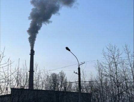    Фото: Народный фронт Забайкалья