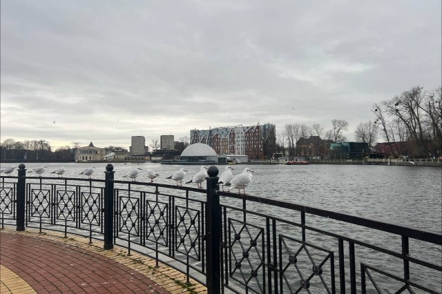   Фото из архива Калининград.Ru