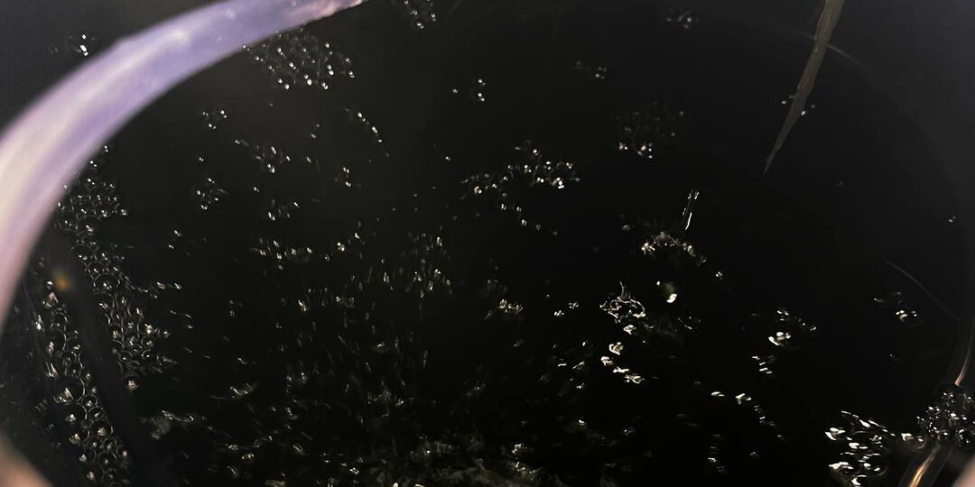 Корни без кислорода - как человек без воздуха