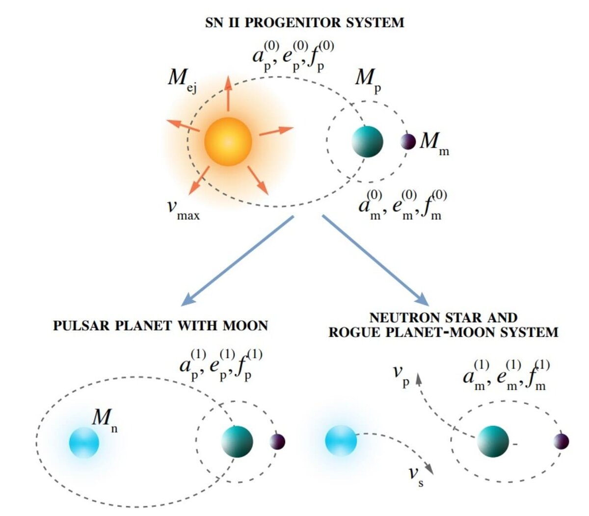    Cхема возникновения планеты-бродяги со спутником после взрыва родительской звезды / © Viktória Fröhlich and Zsolt Regály, 2025