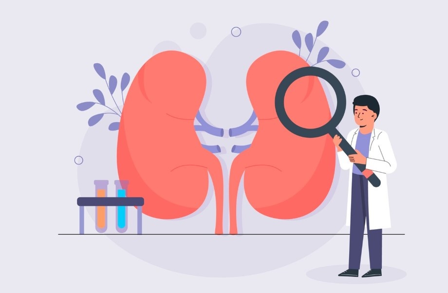    фото: фрипик