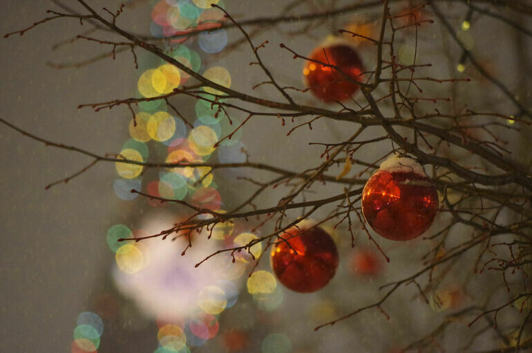   Игорь Самохвалов/«Парламентская газета»